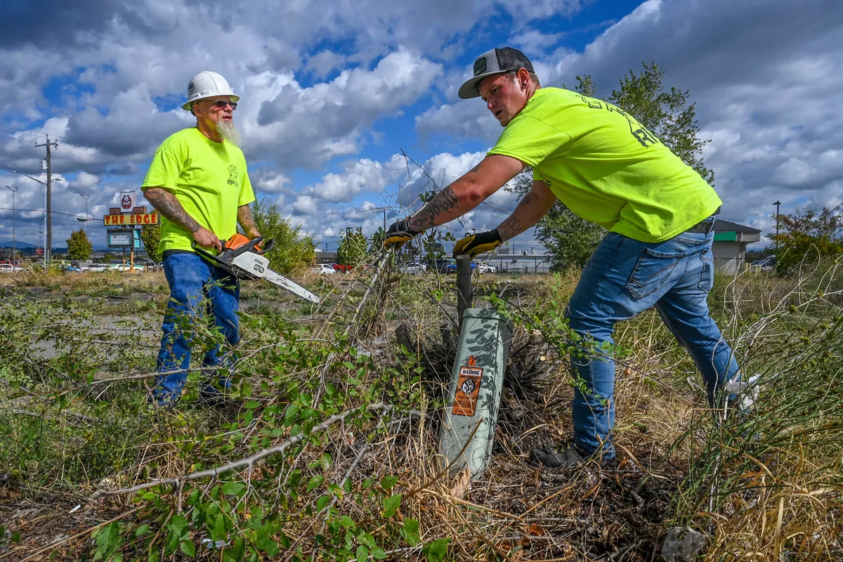 Chris Bertram, left, and Kory Jones, both of Reclaim Project Recovery, team up to clear a willow tree from around an utility box on Tuesday near the corner of Sprague Avenue and Coleman Road. (DAN PELLE/THE SPOKESMAN-REVIEW)